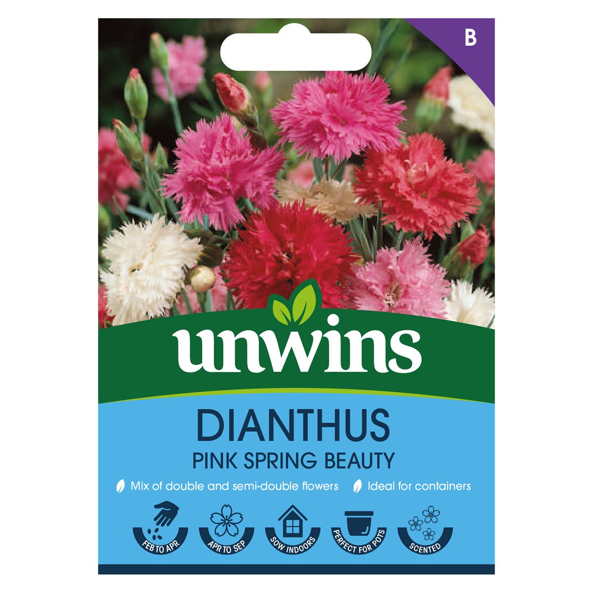 5051618036085 1 Dianthus Pink Spring Beauty Seeds.jpg
